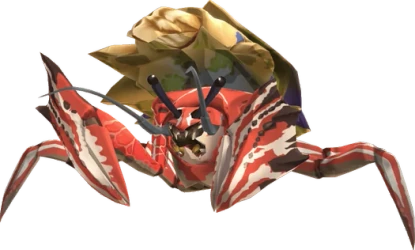 Hermitaur